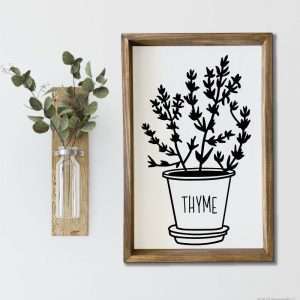 2044 Herb Pot Thyme