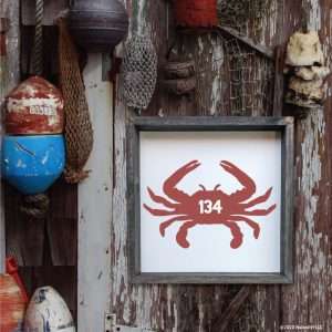 3003 Crab Number