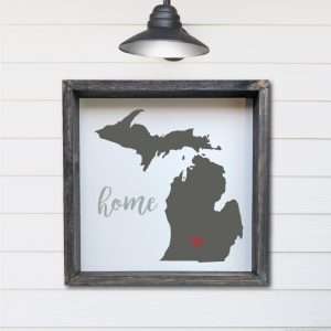8210 Michigan Home State
