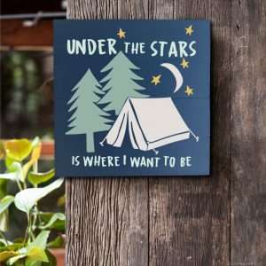4029 Under the Stars Camping