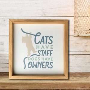 5179 Cats Have Staff