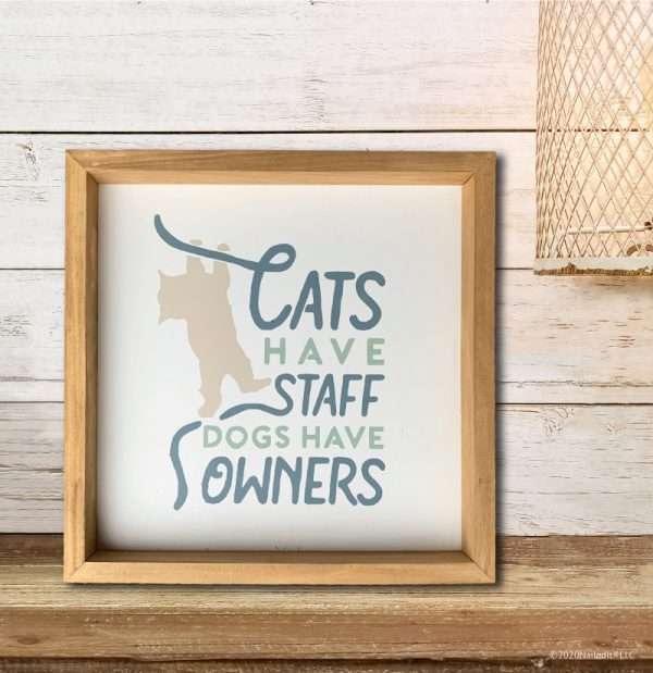 5179 Cats Have Staff