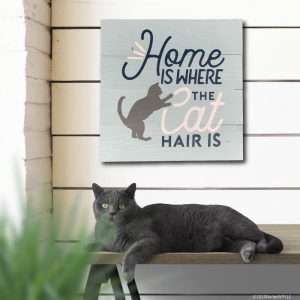 5182 Home is Where the Cat Hair Is