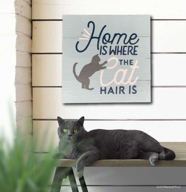 5182 Home is Where the Cat Hair Is