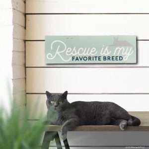 5183 Rescue is My Favorite Breed Cat