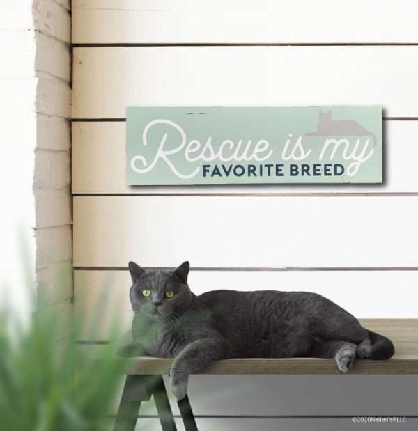 5183 Rescue is My Favorite Breed Cat