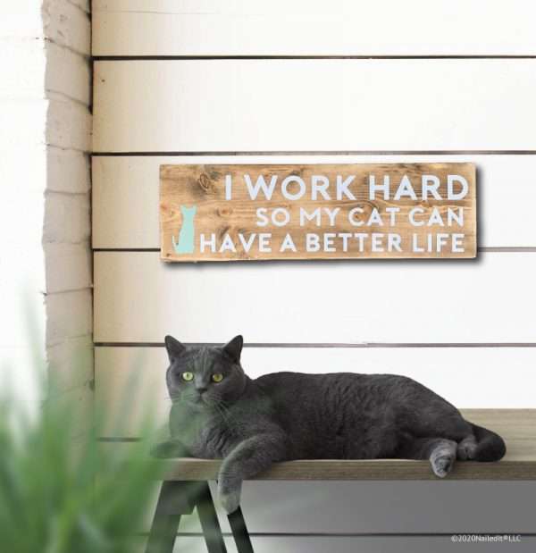 5184 Cat Life
