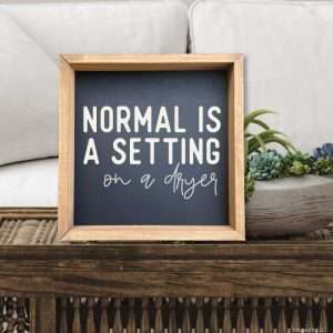 5561 Normal is a Setting on a Dryer