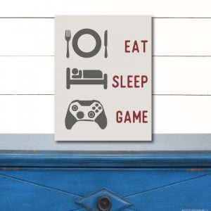 6123 Eat Sleep Game